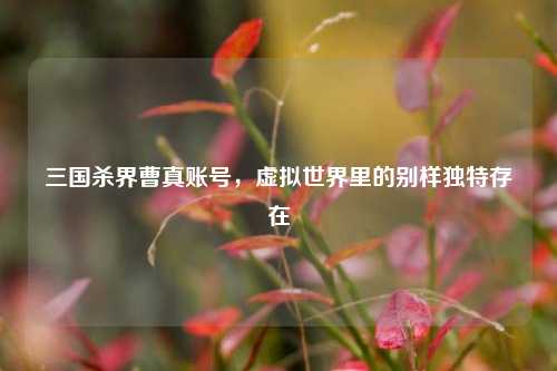 三国杀界曹真账号，虚拟世界里的别样独特存在