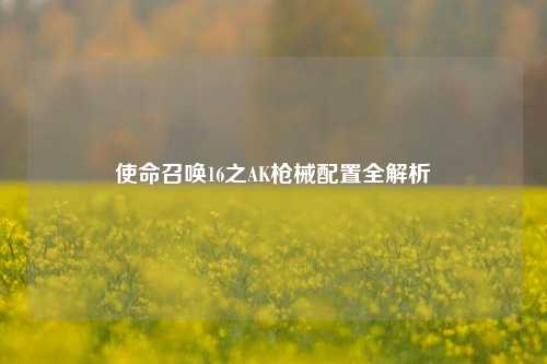 使命召唤16之AK枪械配置全解析