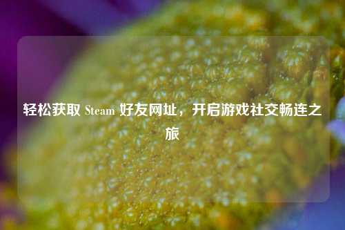 轻松获取 Steam 好友网址，开启游戏社交畅连之旅