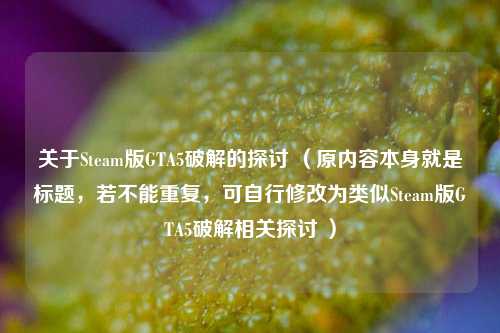 关于Steam版GTA5破解的探讨 （原内容本身就是标题，若不能重复，可自行修改为类似Steam版GTA5破解相关探讨 ）