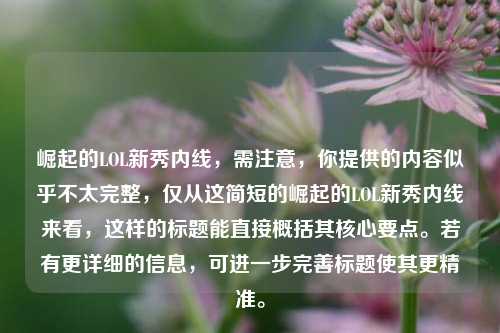 崛起的LOL新秀内线，需注意，你提供的内容似乎不太完整，仅从这简短的崛起的LOL新秀内线来看，这样的标题能直接概括其核心要点。若有更详细的信息，可进一步完善标题使其更精准。