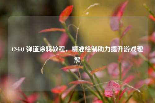 CSGO 弹道涂鸦教程,精准绘制助力提升游戏理解