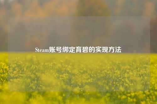 Steam账号绑定育碧的实现方法