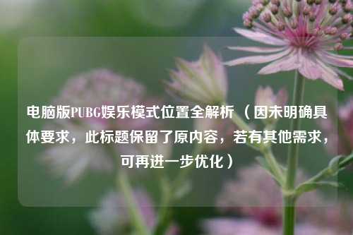 电脑版PUBG娱乐模式位置全解析 (因未明确具体要求,此标题保留了原内容,若有其他需求,可再进一步优化)