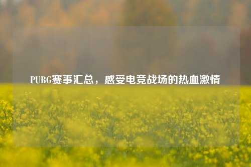 PUBG赛事汇总，感受电竞战场的热血激情