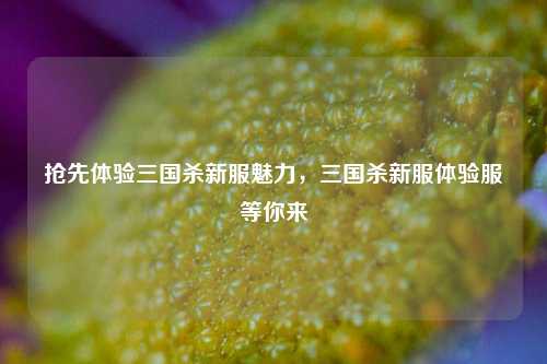 抢先体验三国杀新服魅力，三国杀新服体验服等你来
