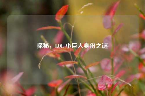 探秘，LOL 小巨人身份之谜