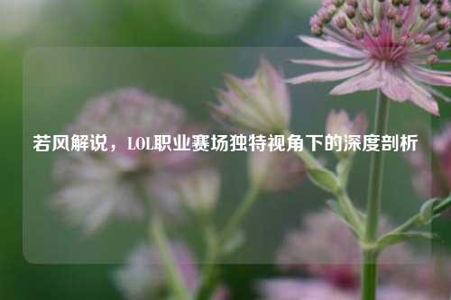 若风解说，LOL职业赛场独特视角下的深度剖析