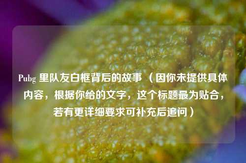 Pubg 里队友白框背后的故事 （因你未提供具体内容，根据你给的文字，这个标题最为贴合，若有更详细要求可补充后追问）