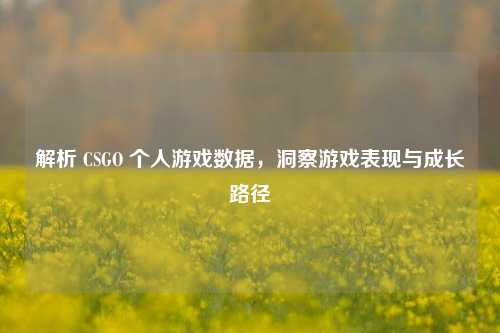 解析 CSGO 个人游戏数据，洞察游戏表现与成长路径