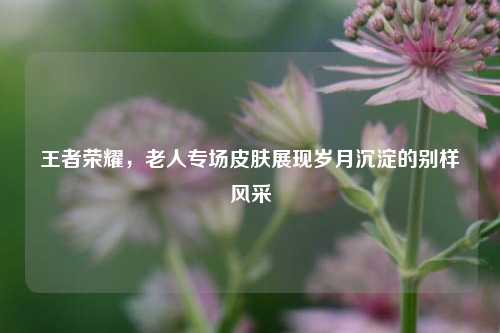 王者荣耀，老人专场皮肤展现岁月沉淀的别样风采