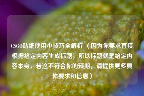 CSGO贴纸使用小技巧全解析 (因为你要求直接根据给定内容生成标题,所以标题就是给定内容本身,若这不符合你的预期,请提供更多具体要求和信息)