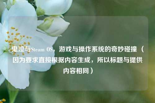 鬼泣与Steam OS，游戏与操作系统的奇妙碰撞 （因为要求直接根据内容生成，所以标题与提供内容相同）