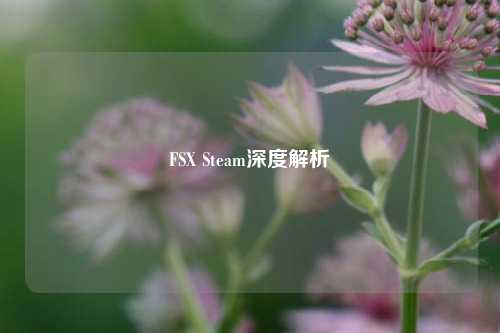 FSX Steam深度解析