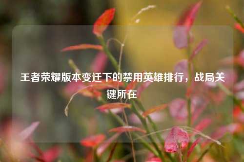 王者荣耀版本变迁下的禁用英雄排行，战局关键所在