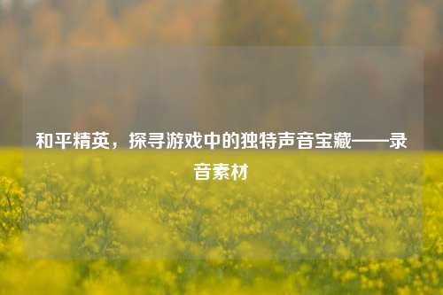 和平精英,探寻游戏中的独特声音宝藏——录音素材