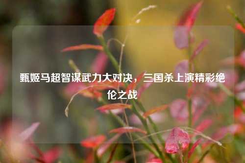 甄姬马超智谋武力大对决，三国杀上演精彩绝伦之战