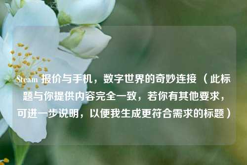 Steam 报价与手机，数字世界的奇妙连接 （此标题与你提供内容完全一致，若你有其他要求，可进一步说明，以便我生成更符合需求的标题）