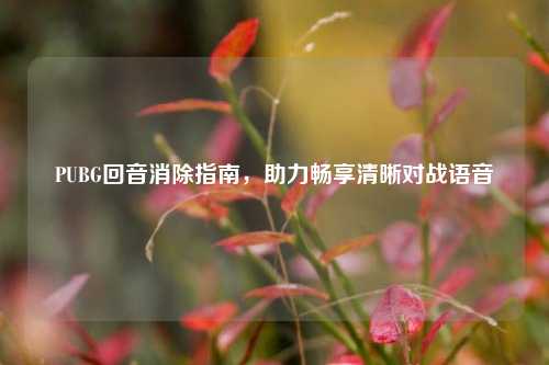 PUBG回音消除指南，助力畅享清晰对战语音