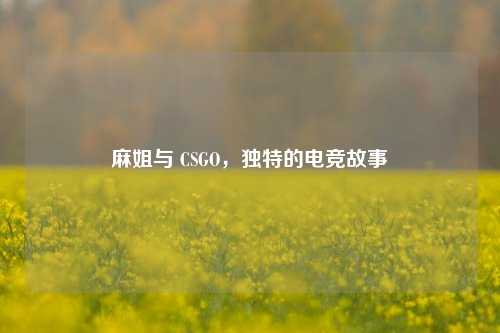 麻姐与 CSGO,独特的电竞故事