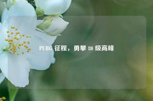 PUBG 征程，勇攀 80 级高峰