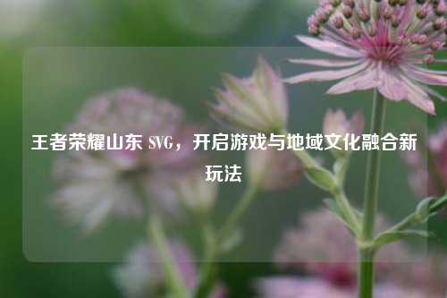 王者荣耀山东 SVG，开启游戏与地域文化融合新玩法