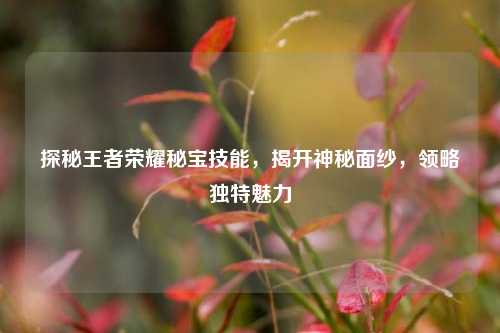 探秘王者荣耀秘宝技能，揭开神秘面纱，领略独特魅力