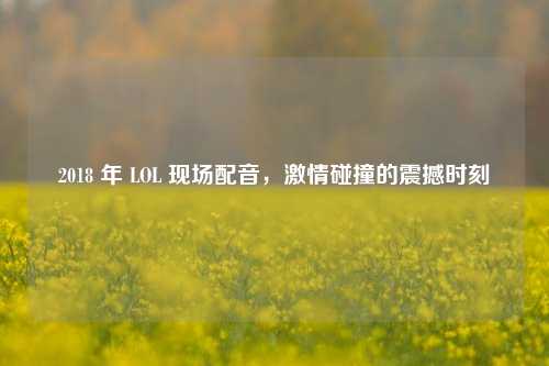 2018 年 LOL 现场配音，激情碰撞的震撼时刻