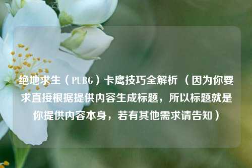 绝地求生（PUBG）卡鹰技巧全解析 （因为你要求直接根据提供内容生成标题，所以标题就是你提供内容本身，若有其他需求请告知）