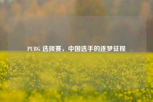 PUBG 选拔赛，中国选手的逐梦征程