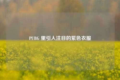 PUBG 里引人注目的紫色衣服