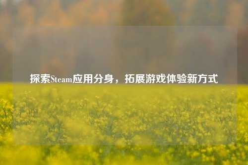 探索Steam应用分身,拓展游戏体验新方式