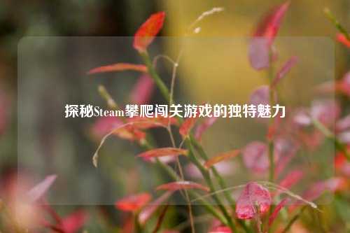 探秘Steam攀爬闯关游戏的独特魅力
