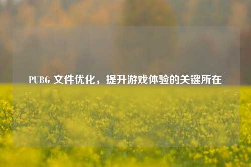 PUBG 文件优化,提升游戏体验的关键所在