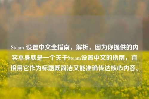 Steam 设置中文全指南，解析，因为你提供的内容本身就是一个关于Steam设置中文的指南，直接用它作为标题既简洁又能准确传达核心内容。