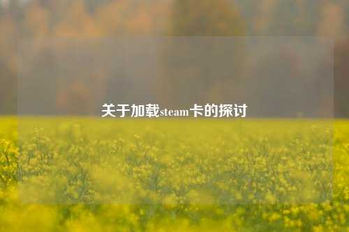 关于加载steam卡的探讨