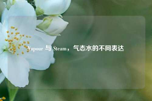 Vapour 与 Steam，气态水的不同表达
