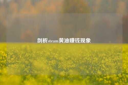 剖析steam黄油赚钱现象