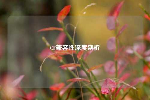 CF兼容性深度剖析