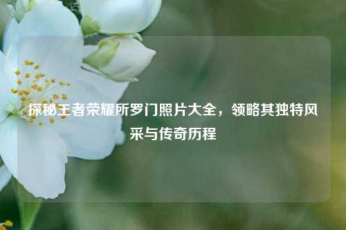 探秘王者荣耀所罗门照片大全，领略其独特风采与传奇历程