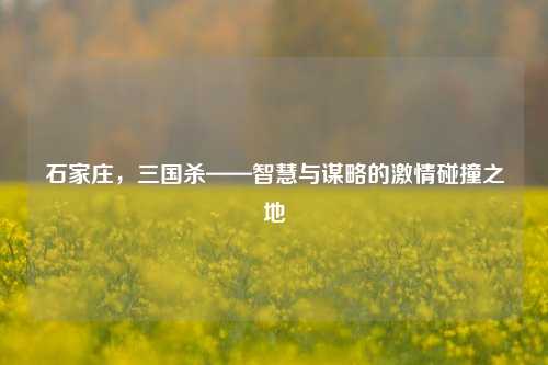 石家庄，三国杀——智慧与谋略的激情碰撞之地