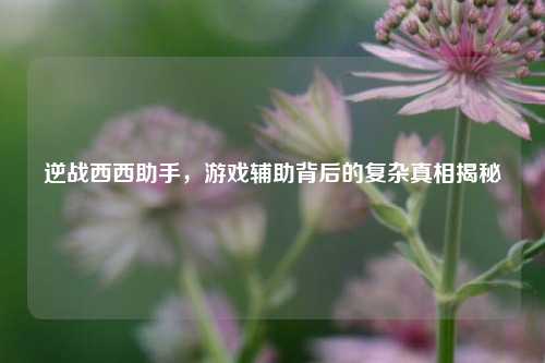 逆战西西助手，游戏辅助背后的复杂真相揭秘