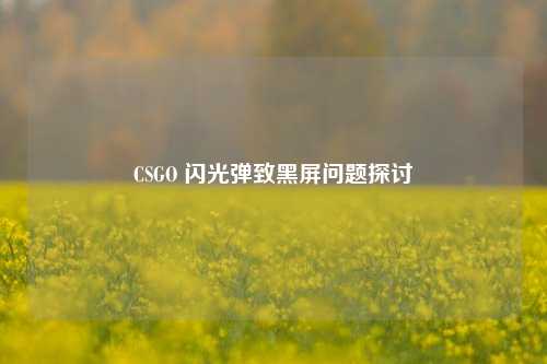 CSGO 闪光弹致黑屏问题探讨