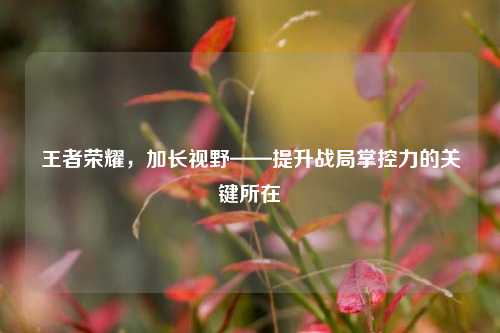 王者荣耀，加长视野——提升战局掌控力的关键所在