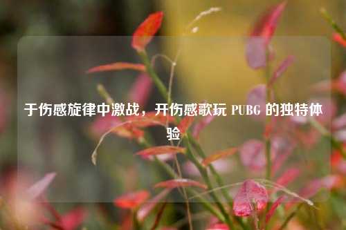 于伤感旋律中激战,开伤感歌玩 PUBG 的独特体验