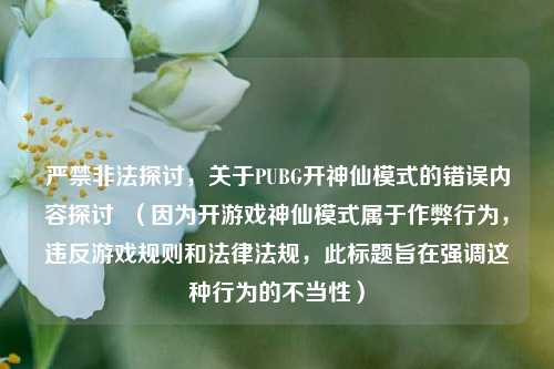 严禁非法探讨，关于PUBG开神仙模式的错误内容探讨  （因为开游戏神仙模式属于作弊行为，违反游戏规则和法律法规，此标题旨在强调这种行为的不当性）