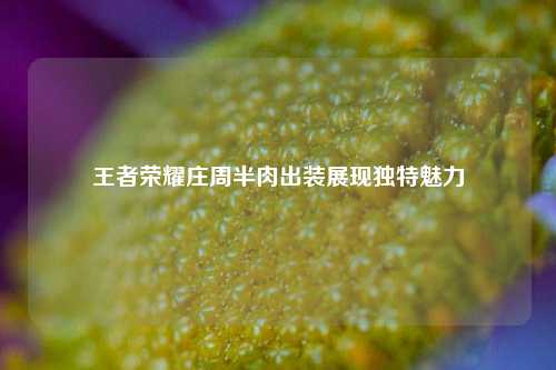 王者荣耀庄周半肉出装展现独特魅力