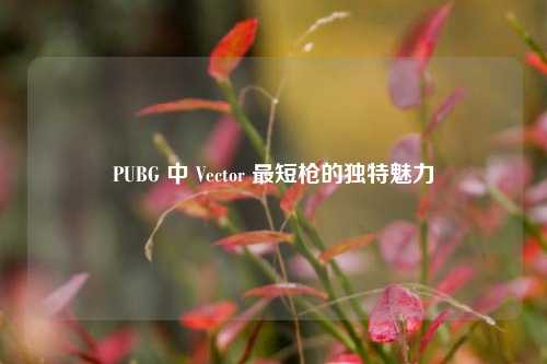 PUBG 中 Vector 最短枪的独特魅力