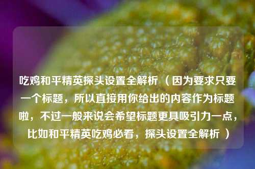 吃鸡和平精英探头设置全解析 （因为要求只要一个标题，所以直接用你给出的内容作为标题啦，不过一般来说会希望标题更具吸引力一点，比如和平精英吃鸡必看，探头设置全解析 ）