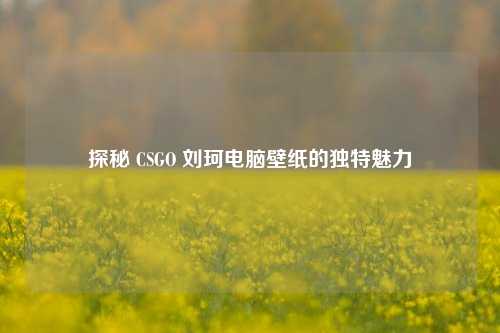 探秘 CSGO 刘珂电脑壁纸的独特魅力
